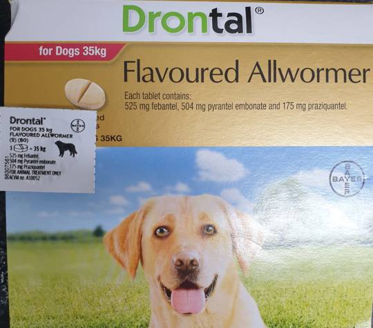 Drontal AllWormer for Dogs 20-35kg / 1 Tablet